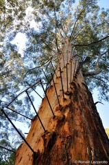 20090819-154818-western-australia