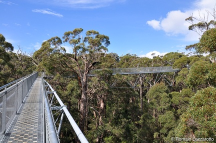 20090820-122923-western-australia