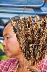 20091018-080639-laos-tour-2009