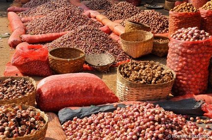 20091114-100711-myanmar-tour-2009