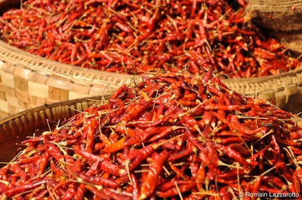 20091114-100810-myanmar-tour-2009