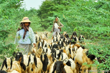 20091119-152757-myanmar-tour-2009