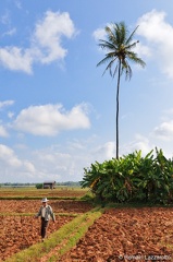 20091123-091428-myanmar-tour-2009
