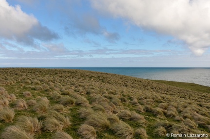 20111109-183557-sud-nouvelle-zelande