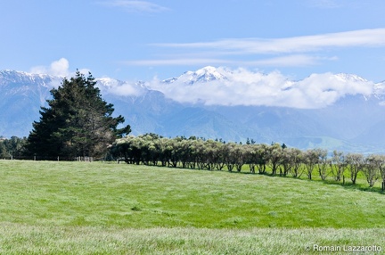 20111113-101614-sud-nouvelle-zelande