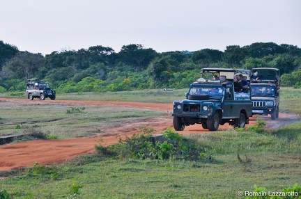 20120123-074046-sri-lanka-sud-parcs