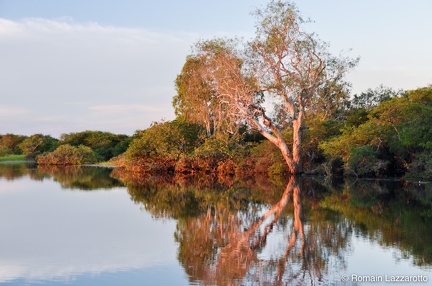 20120429-181929-kakadu