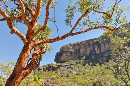 20120430-122111-kakadu