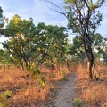 20120430-181426-kakadu