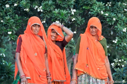 20120916-180629-delhi-agra-rajasthan