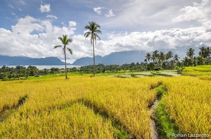 20130809-153223-grand-week-end-sumatra-occidental