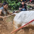 20130810-153731-grand-week-end-sumatra-occidental